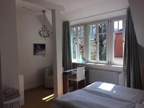 Heidelberg Astoria - Général