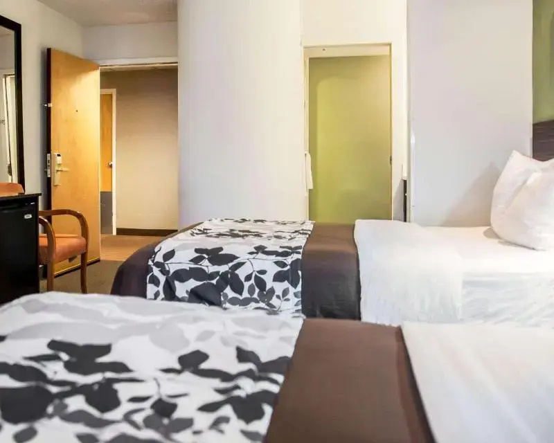 Standard Double room (twin beds)