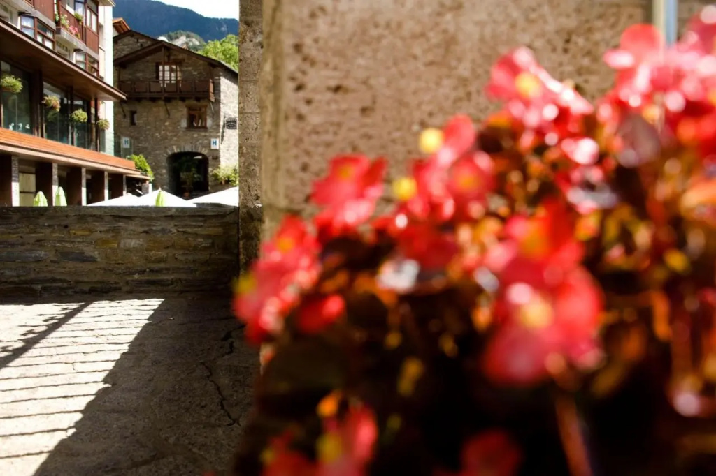 Hotel Rural Santa Bàrbara de la Vall d'Ordino - Général