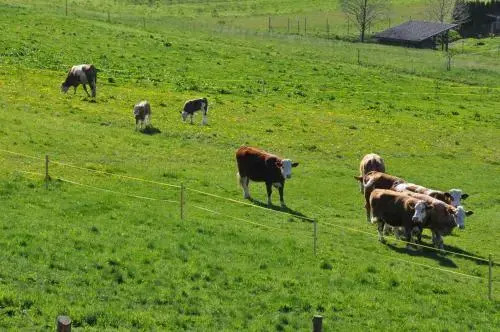 Szlovén Mintagazdaság - фото 5