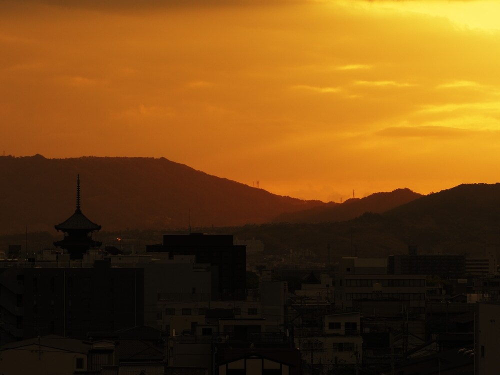 BOOK HOTEL Kyotokujo 사진 22