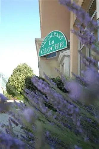 Afficher la photo 6 — Hôtel Central Restaurant la Cloche