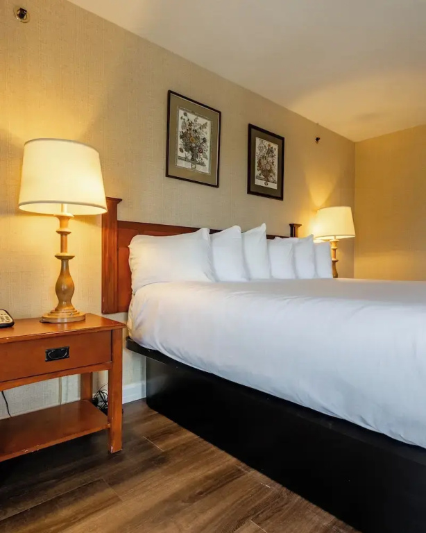 Deluxe Double room with view (full double bed)