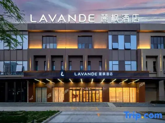 Lavande Hotel (Tianjin Binhai New Area Wuyue Plaza)