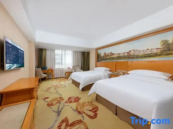 Business Double room (twin beds)