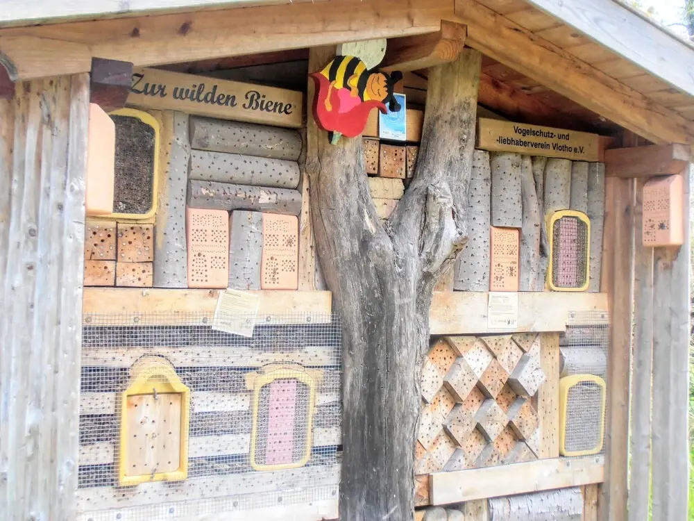 Gasthaus Schadde