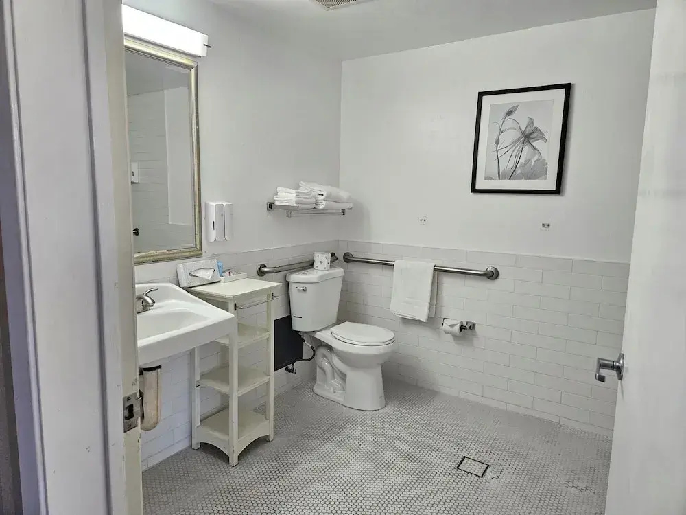 Accessible Roll-In Shower Double room (full double bed)