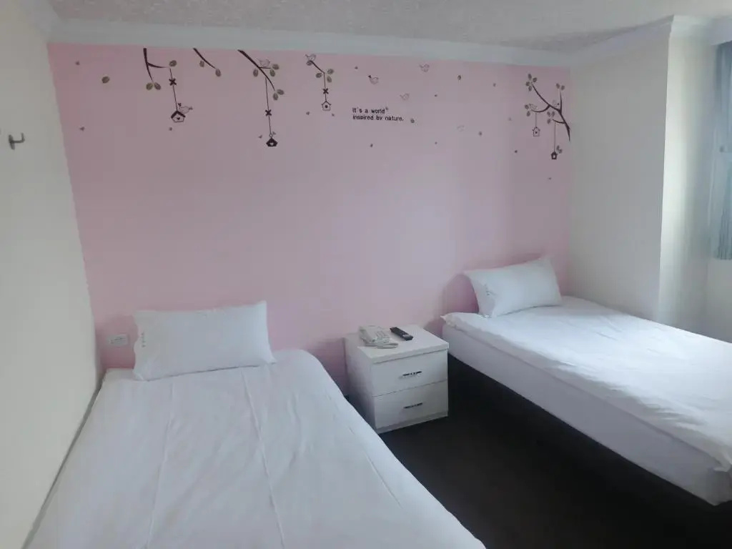 Classic Double room (twin beds)