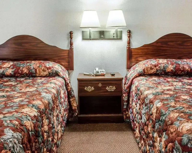 Standard Double room (twin beds)