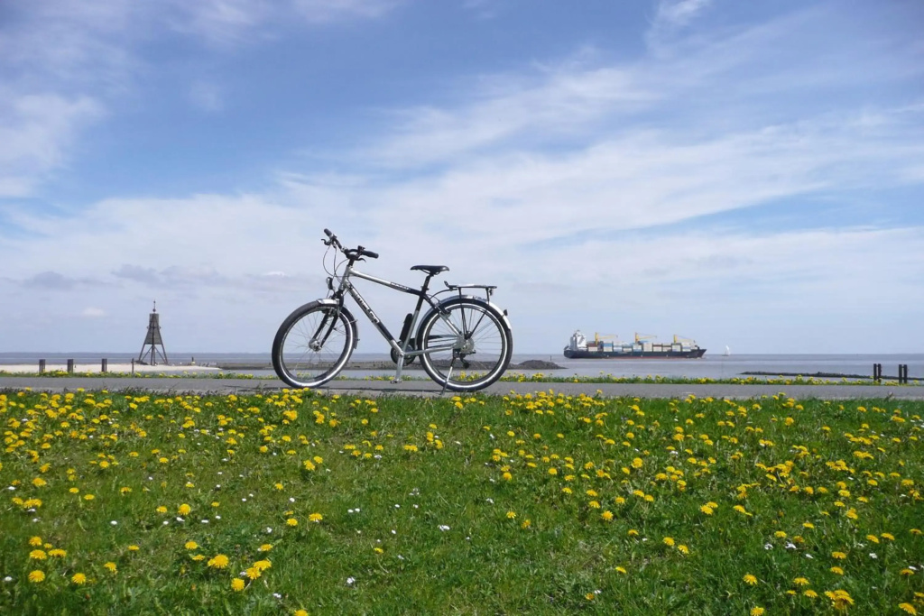 Seehotel Neue Liebe - Général