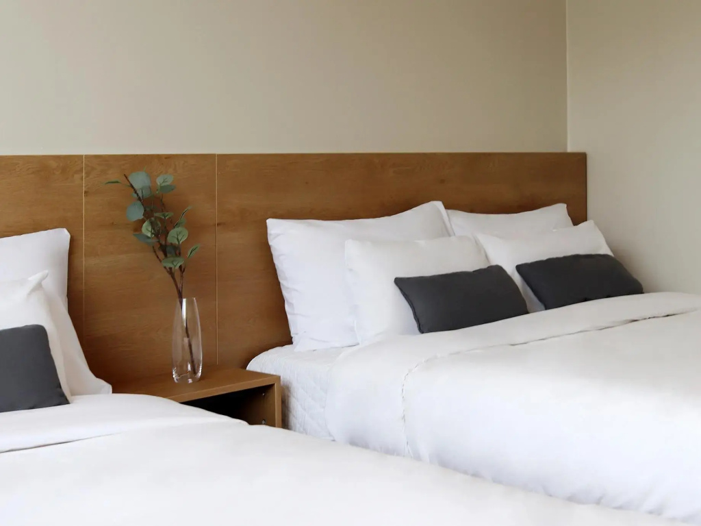 Deluxe Double room (twin beds)