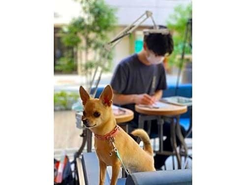 ICI HOTEL Asakusabashi - Vacation STAY 69309v 사진 11