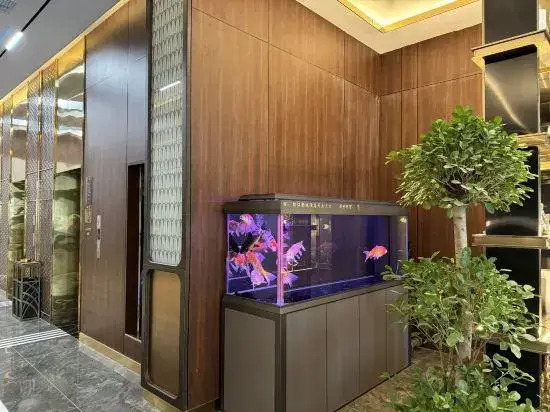 Jinjiang Metropolo Hotel (Korla Peacock River Loulan Never-Night City) — фото 6