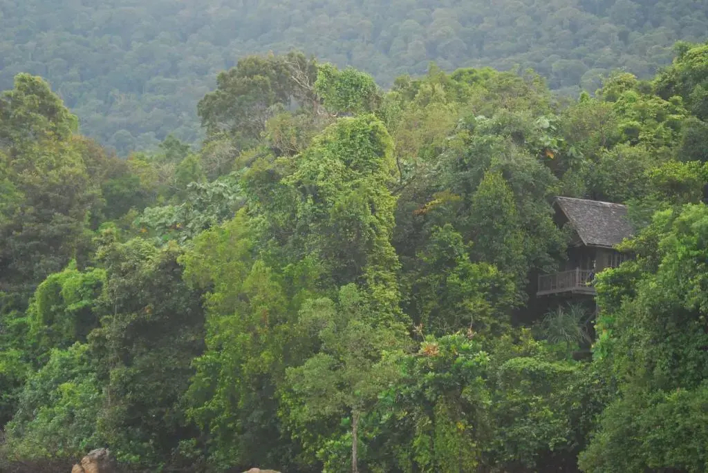 Permai Rainforest Resort