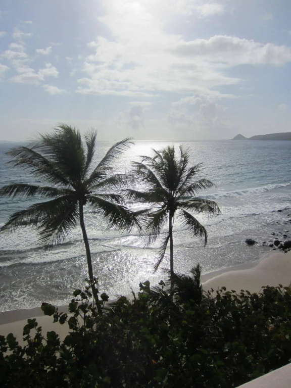 Petite Anse Hotel - фото 45