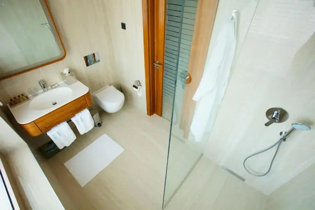 Standard Double room with city view (twin beds)