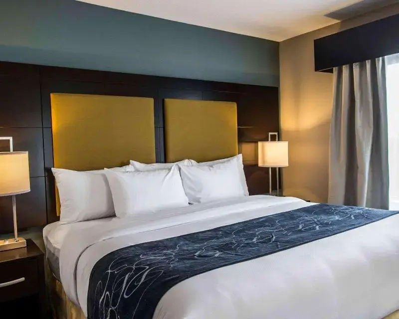 Comfort Suites Fort Lauderdale Airport South & Cruise Port - Chambres