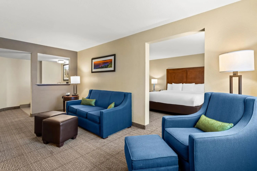 Comfort Inn & Suites Albuquerque Downtown - фото 4