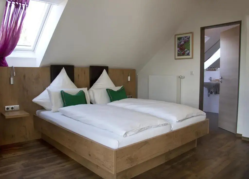 Standard Double room (full double bed)