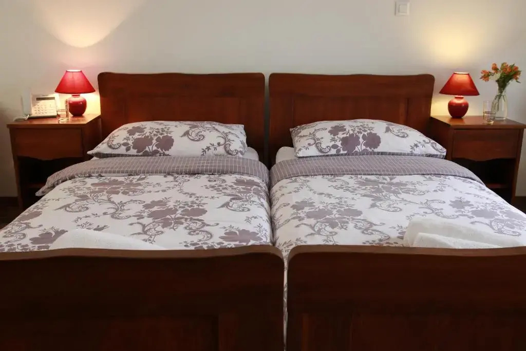 Deluxe Double room (full double bed)