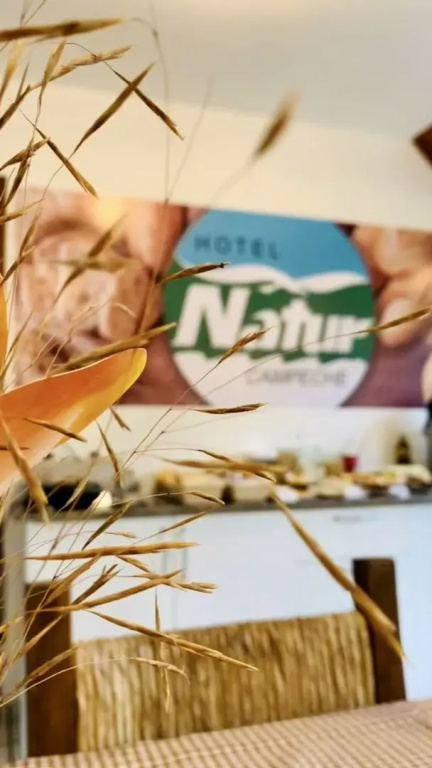 Hotel Natur Campeche - Général