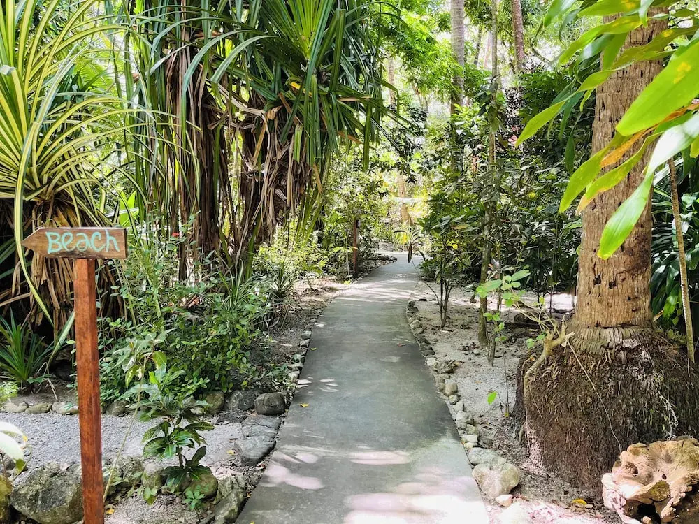 Calala Lodge - фото 23