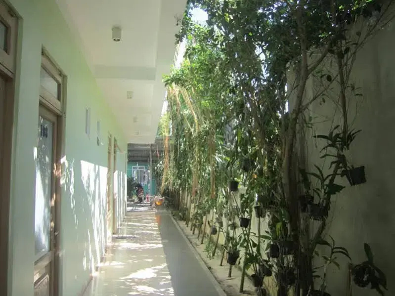 Green Phu My Guest House