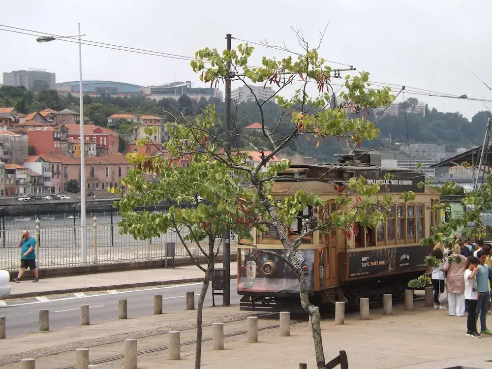 Go2oporto Mira Gaia