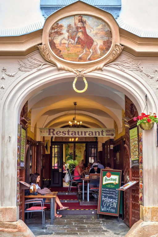 U Zlate Podkovy - At The Golden Horseshoe - Général