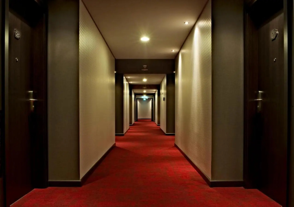 Image 15