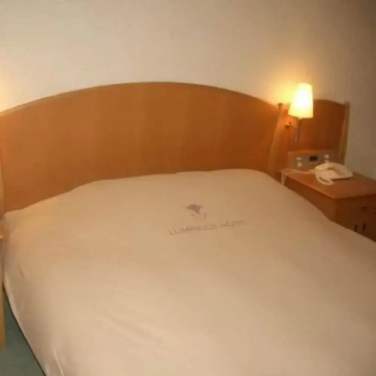 Economy Double room (full double bed)