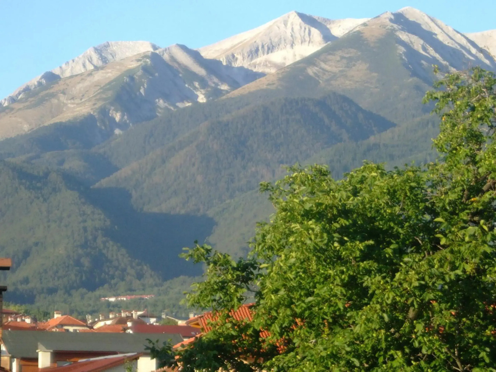 Family Hotel Bisser - Général
