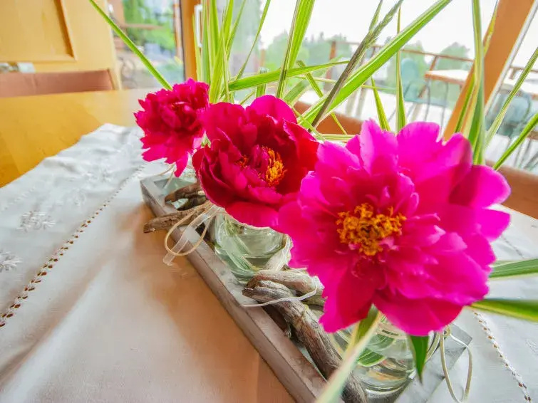 Hotel photo 41