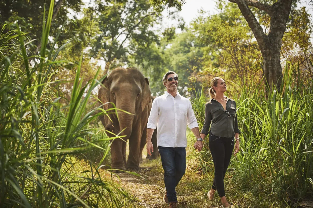 Anantara Golden Triangle Elephant Camp & Resort - Général