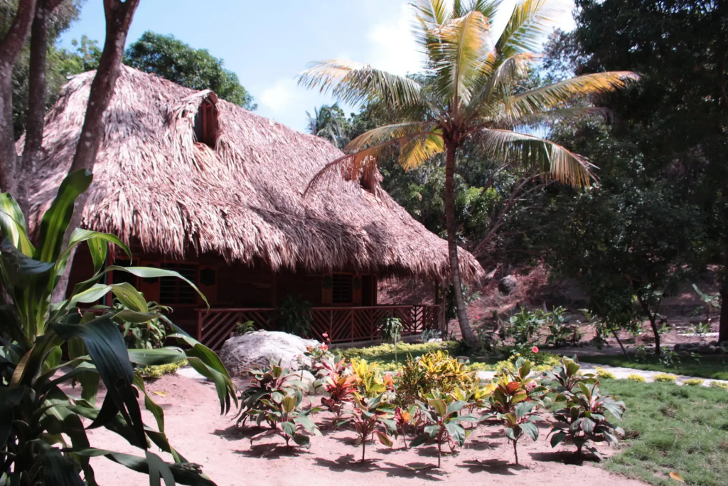 Tayrona Paradise - Général