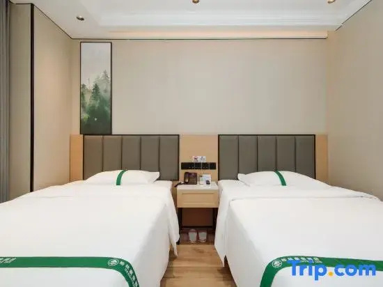 Superior Double room (twin beds)