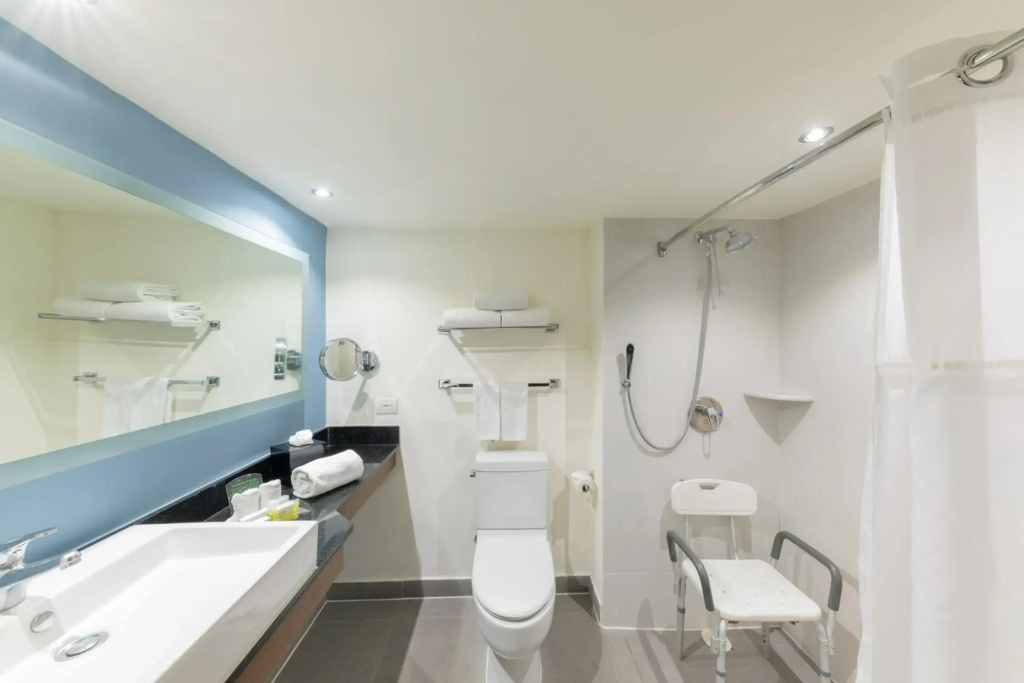 Holiday Inn Guadalajara Expo by IHG - Général