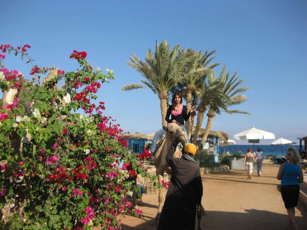 Habiba Beach Lodge - фото 17
