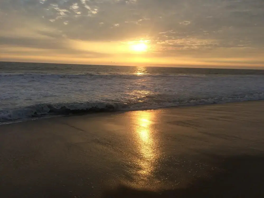 Surfari Punta Rocas - фото 17