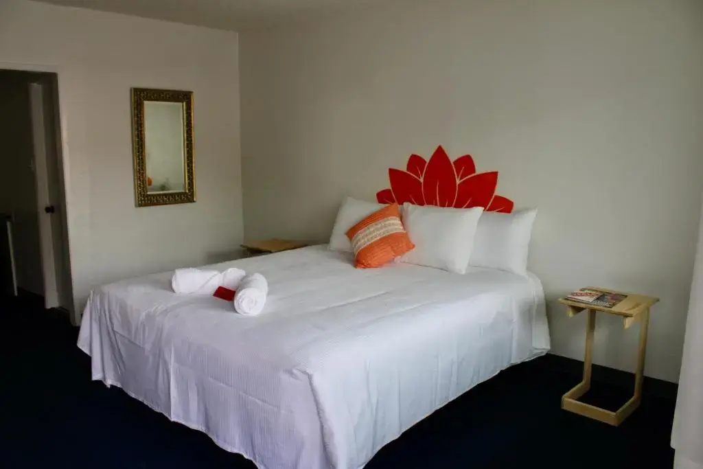Deluxe Double room (full double bed)