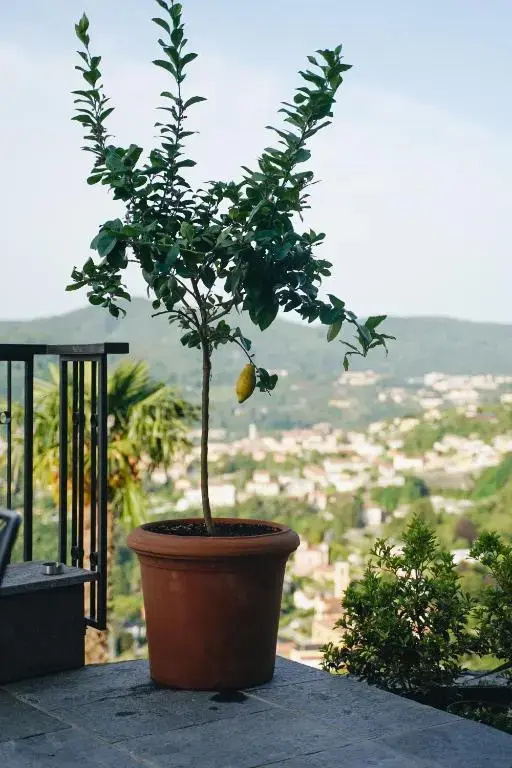 Hotel photo 43