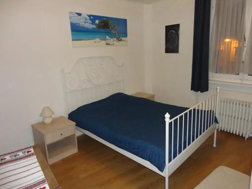 Standard Double room (full double bed)