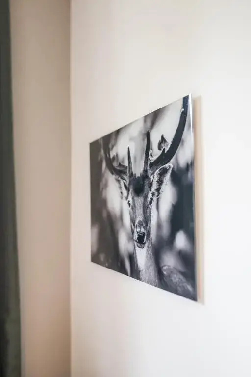 Hotel Tegernseer Hof - Chambres