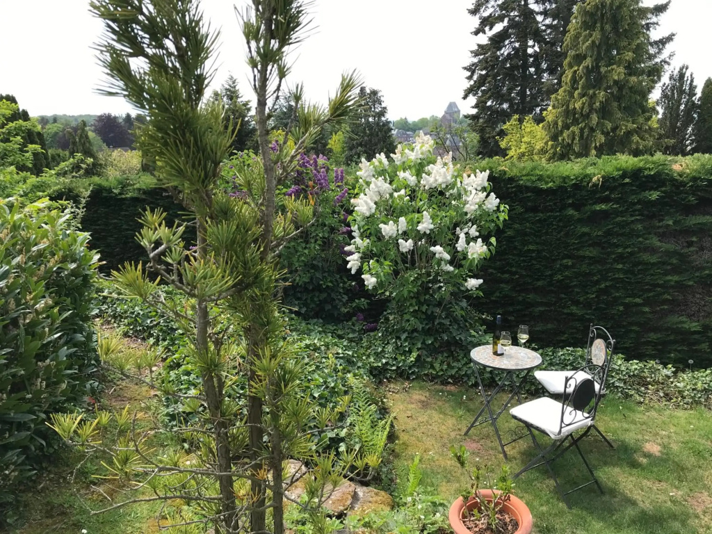 Burgblick