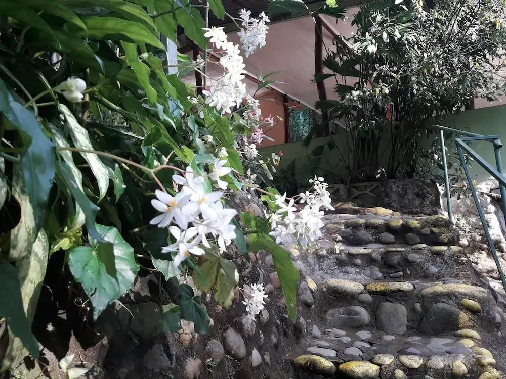 Costa Rica Glamping - фото 7