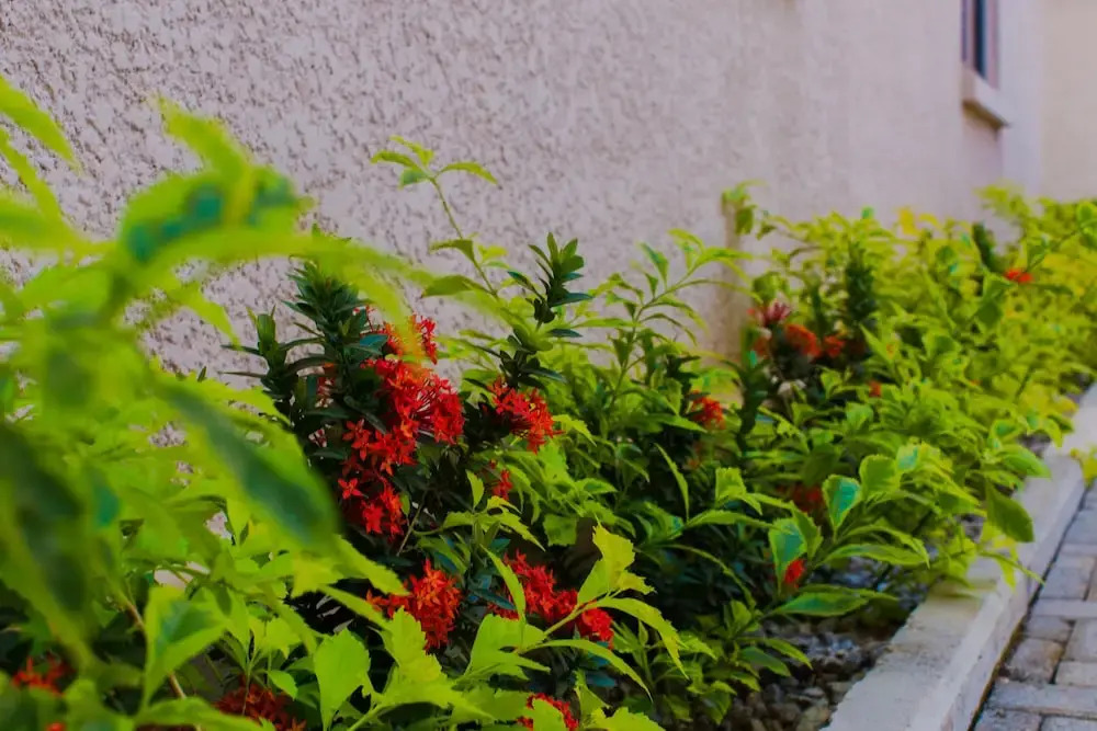 Tenny's Place Apartments - фото 11