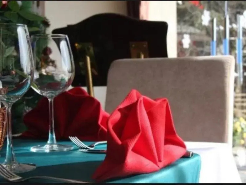 H'Mong Sapa Hotel - Général