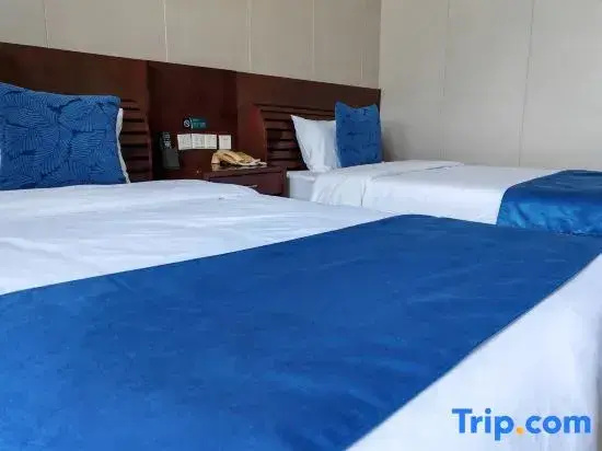 Business Double room (twin beds)