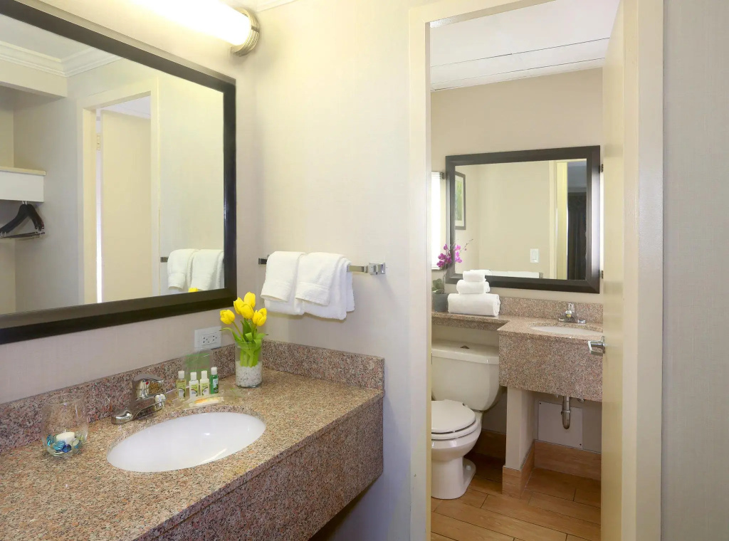 Holiday Inn Binghamton Downtown by IHG