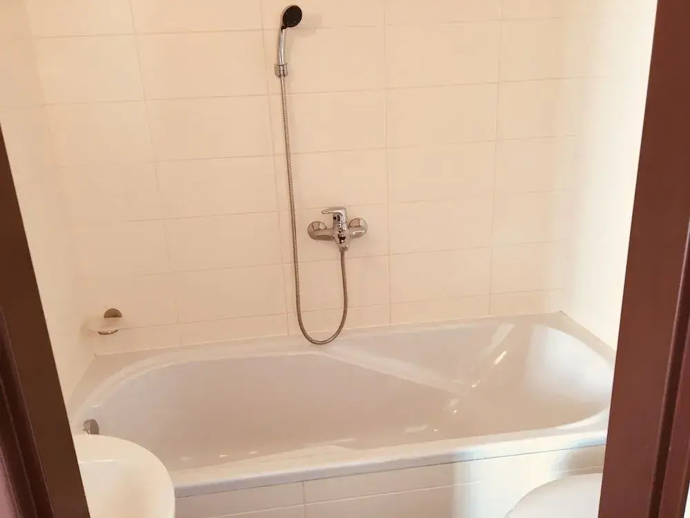 Hotel U Cerneho Orla - Général